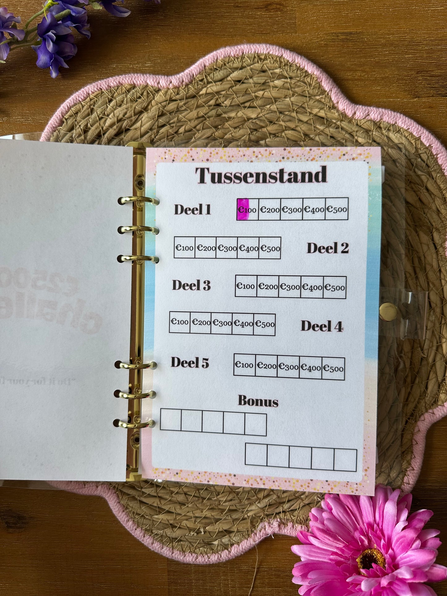 €2500 Challenge Spaarbinder