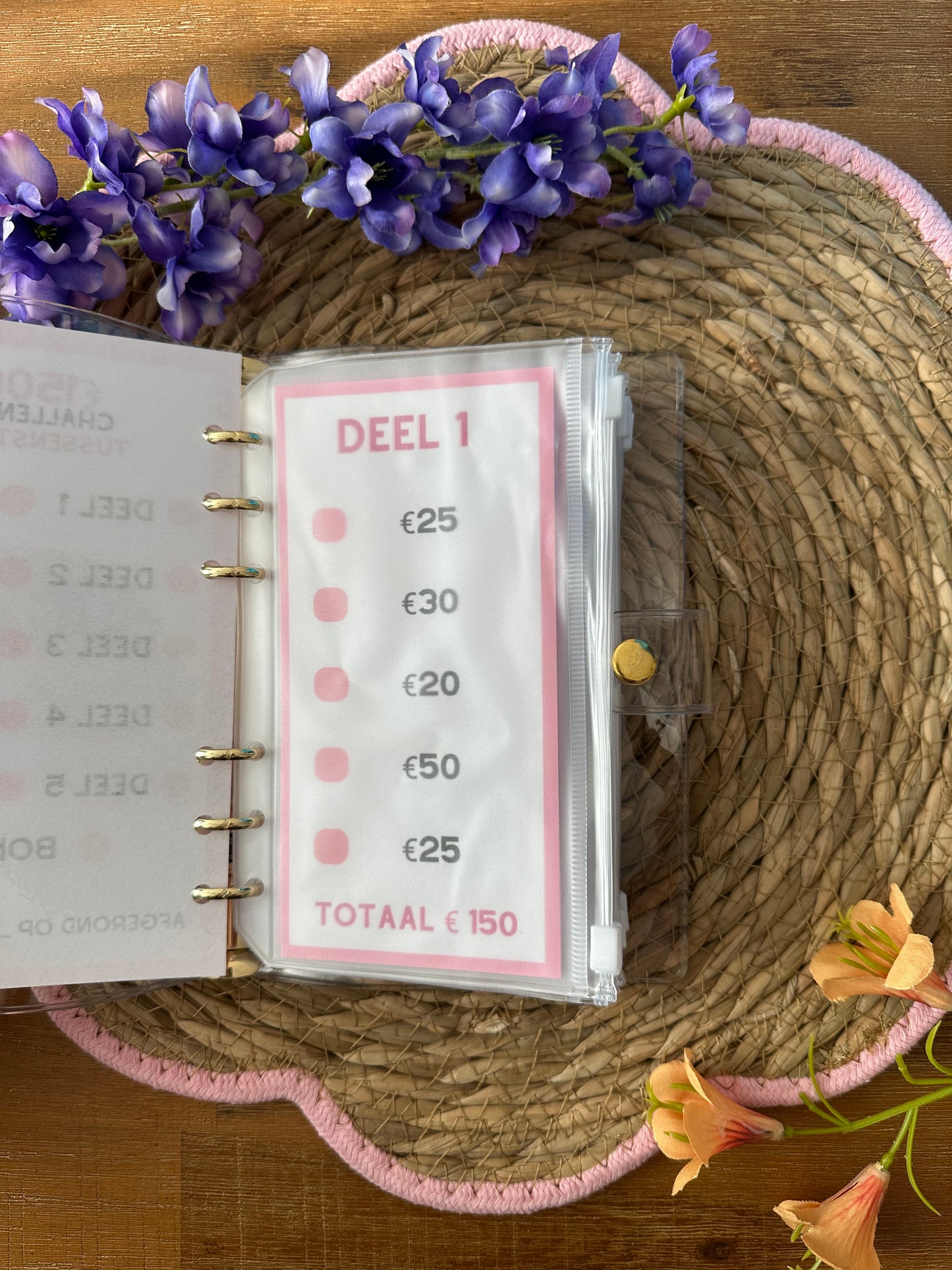 €1500 Spaarbinder Roze