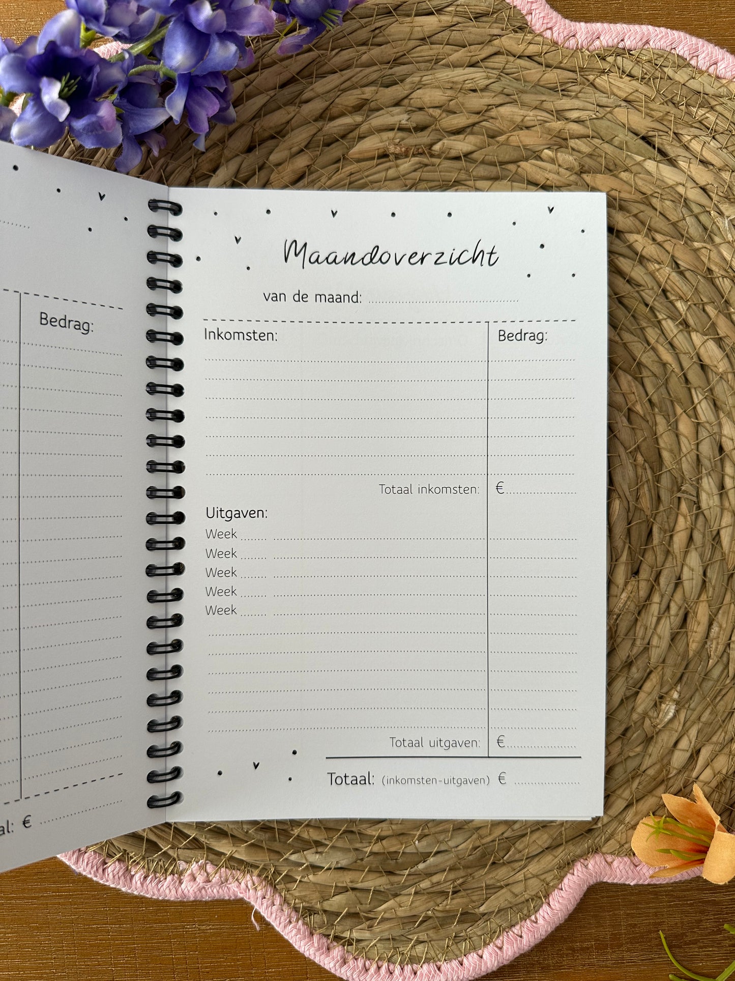 Budget planner
