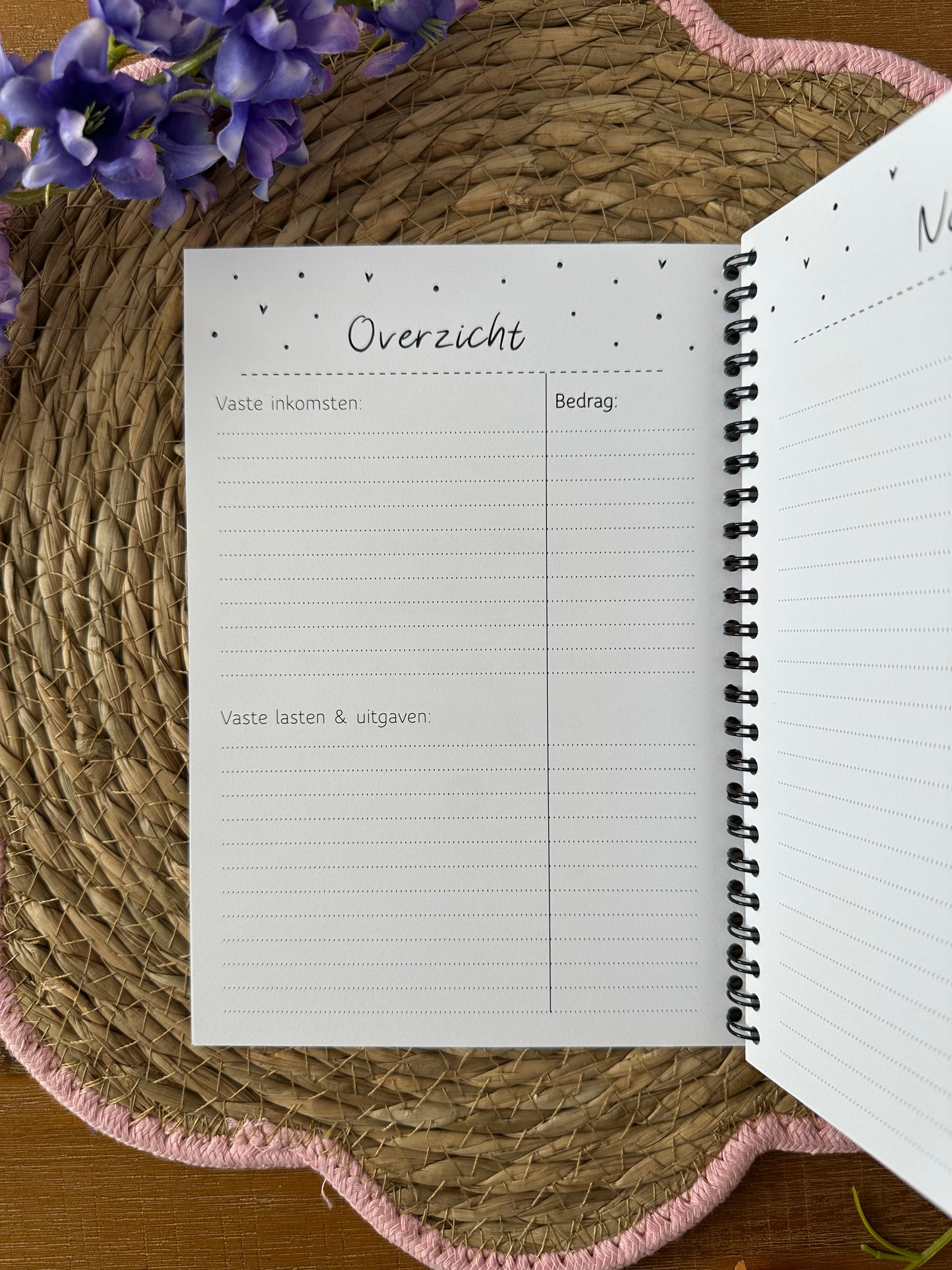 Budget planner