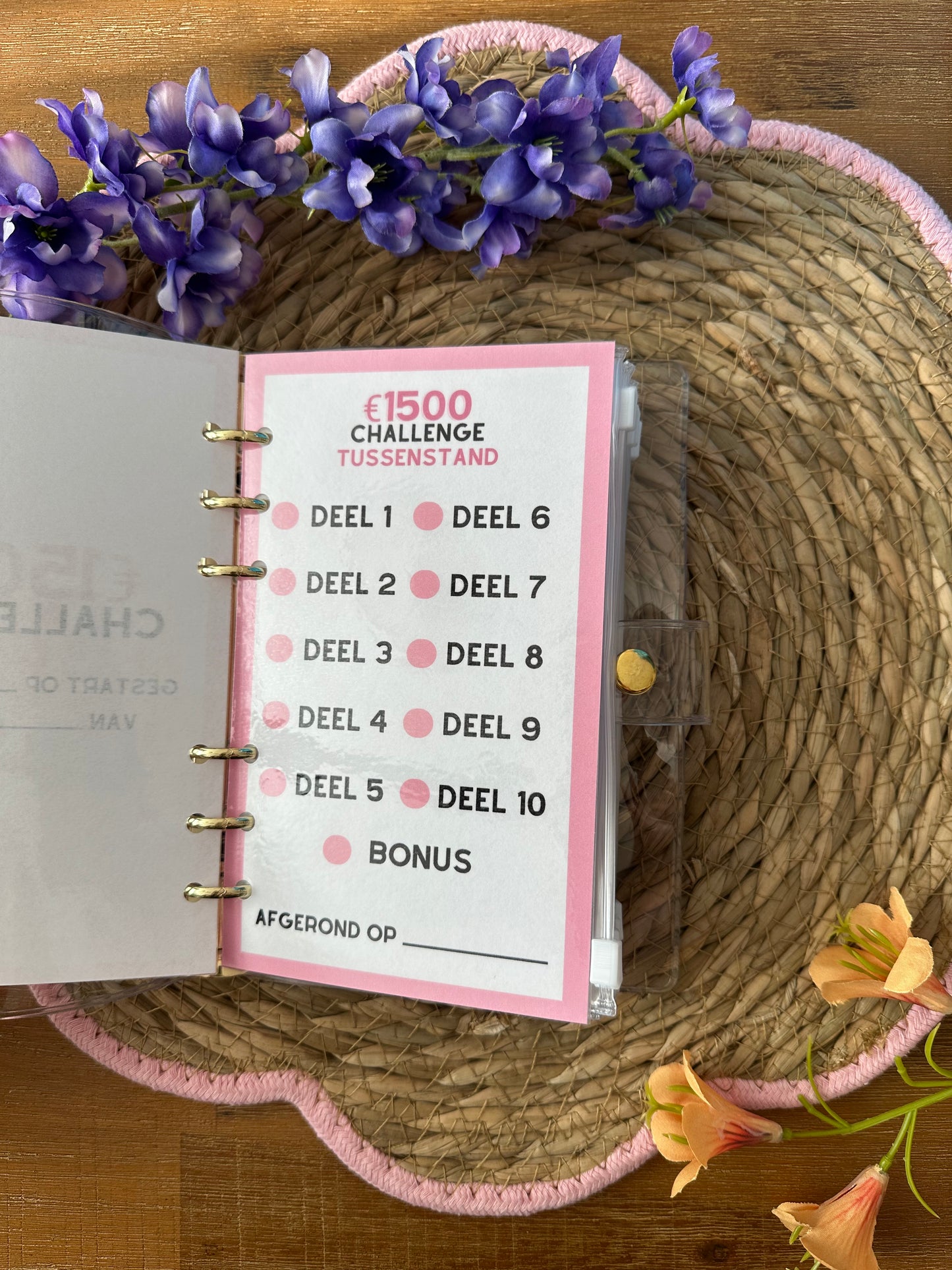 €1500 Spaarbinder Roze