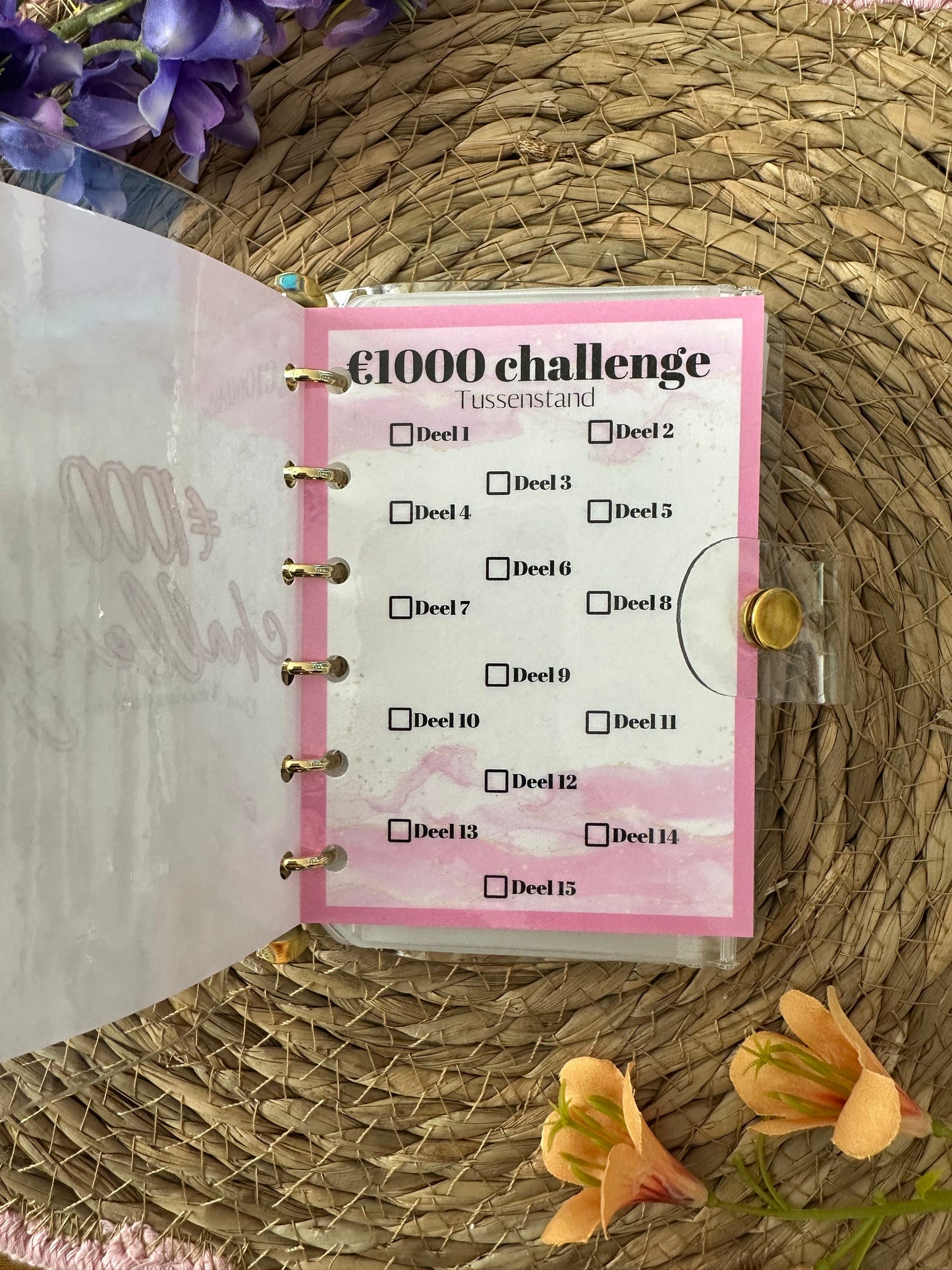 €1000,- Spaarbinder mini
