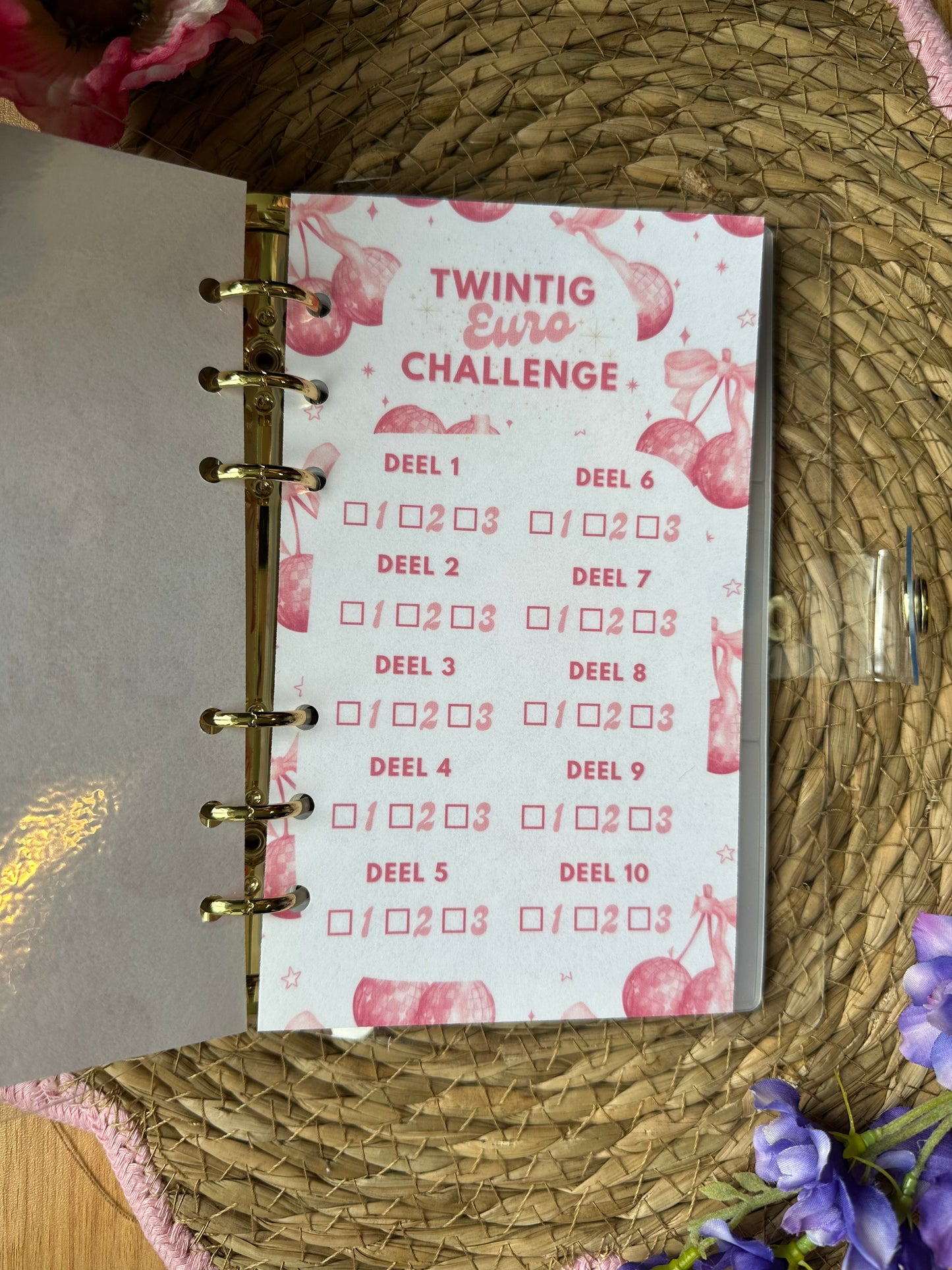 €20 Spaarbinder